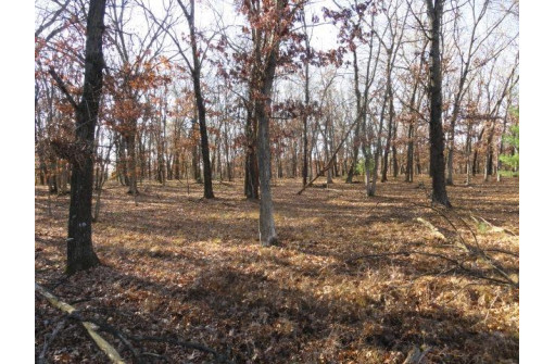 LOT 4 High Ridge Road, Mauston, WI 53948