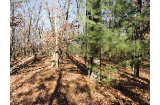 LOT 4 High Ridge Road, Mauston, WI 53948