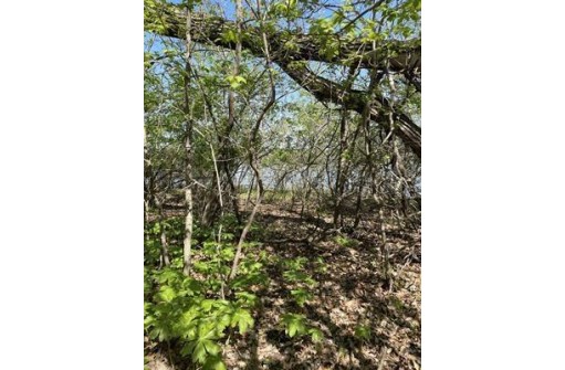 1.23 AC Freedom Road, Montello, WI 53949