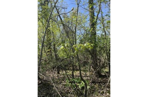 0.82 AC Freedom Road, Montello, WI 53949