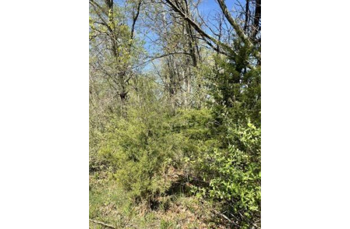 0.82 AC Freedom Road, Montello, WI 53949