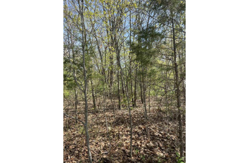 LOT 2 County Road C, Montello, WI 53949