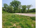 LOT #6 Woodland Drive, Hazel Green, WI 53811-0367