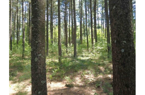 4.91 ACRES County Road A, Wisconsin Dells, WI 53965