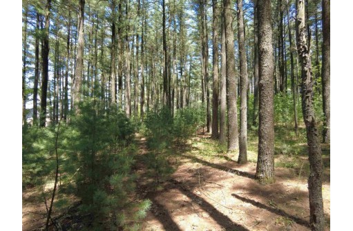 4.91 ACRES County Road A, Wisconsin Dells, WI 53965