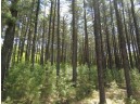 4.91 ACRES County Road A, Wisconsin Dells, WI 53965