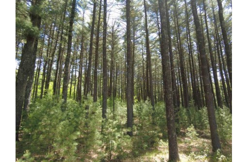 4.91 ACRES County Road A, Wisconsin Dells, WI 53965