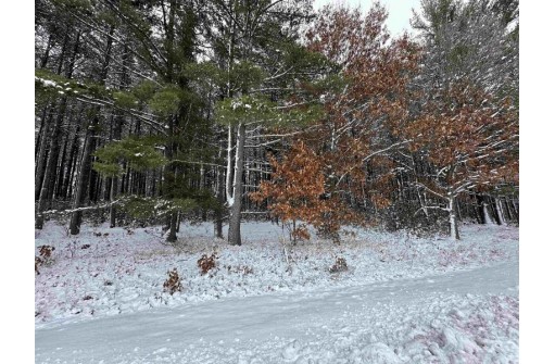 4.91 ACRES County Road A, Wisconsin Dells, WI 53965