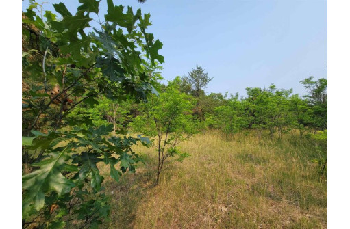 LOT 1 Highway 21, Necedah, WI 54646