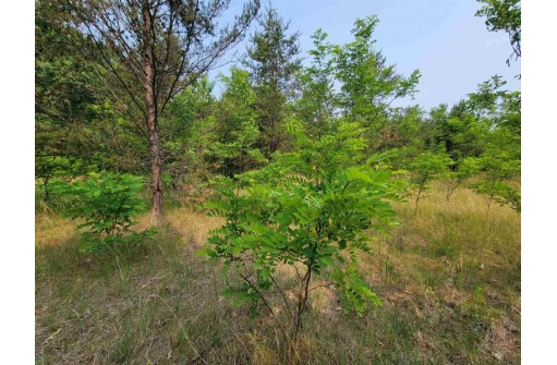 LOT 1 Highway 21, Necedah, WI 54646