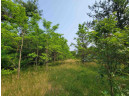 LOT 1 Highway 21, Necedah, WI 54646