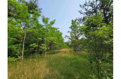 LOT 1 Highway 21, Necedah, WI 54646