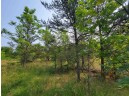 LOT 1 Highway 21, Necedah, WI 54646