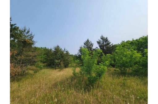 LOT 1 Highway 21, Necedah, WI 54646