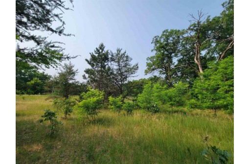 LOT 1 Highway 21, Necedah, WI 54646