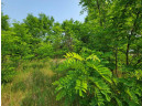 LOT 1 Highway 21, Necedah, WI 54646