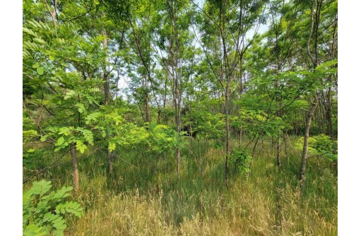 LOT 1 Highway 21, Necedah, WI 54646