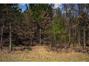 LOT 43 S Timber Bay Avenue, Friendship, WI 53934