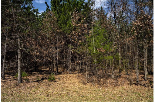 LOT 43 S Timber Bay Avenue, Friendship, WI 53934