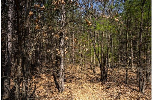 LOT 43 S Timber Bay Avenue, Friendship, WI 53934