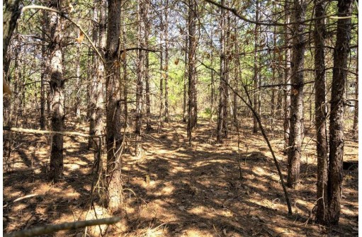 LOT 43 S Timber Bay Avenue, Friendship, WI 53934