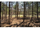 LOT 43 S Timber Bay Avenue, Friendship, WI 53934