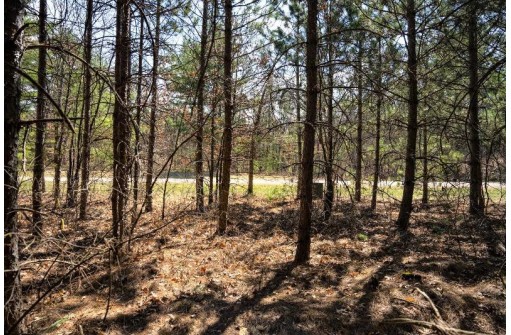 LOT 43 S Timber Bay Avenue, Friendship, WI 53934