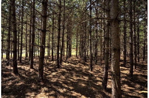 LOT 43 S Timber Bay Avenue, Friendship, WI 53934