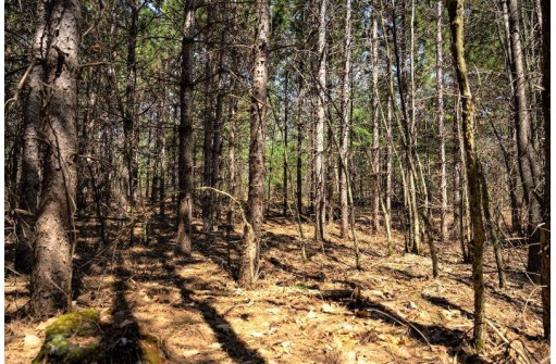 LOT 43 S Timber Bay Avenue, Friendship, WI 53934