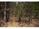 LOT 43 S Timber Bay Avenue, Friendship, WI 53934