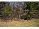 LOT 43 S Timber Bay Avenue, Friendship, WI 53934