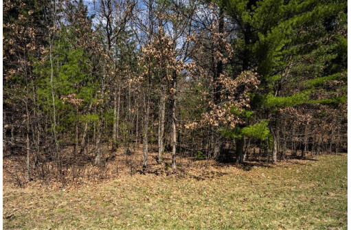 LOT 43 S Timber Bay Avenue, Friendship, WI 53934