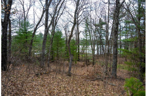 LOT 254 Dakota Junction, Friendship, WI 53934