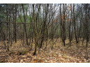 LOT 254 Dakota Junction, Friendship, WI 53934