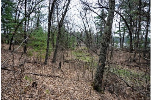 LOT 254 Dakota Junction, Friendship, WI 53934