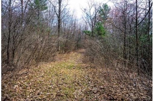 LOT 254 Dakota Junction, Friendship, WI 53934