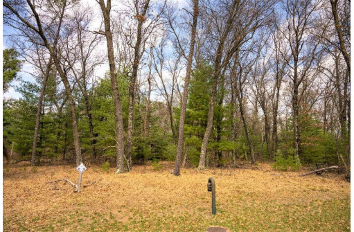 LOT 188 18th Lane, Friendship, WI 53934