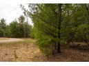 LOT 188 18th Lane, Friendship, WI 53934