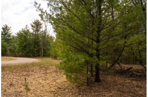 LOT 188 18th Lane, Friendship, WI 53934