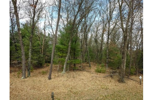 LOT 188 18th Lane, Friendship, WI 53934