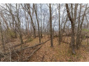 14.35 ACRES Highway 80, New Lisbon, WI 53950