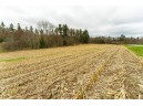 LOT 2 Blackberry Avenue, Warrens, WI 54666