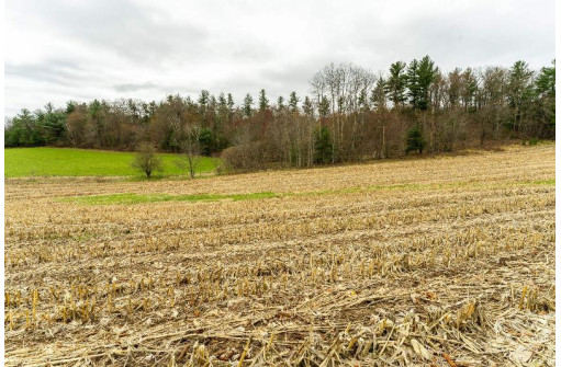 LOT 2 Blackberry Avenue, Warrens, WI 54666