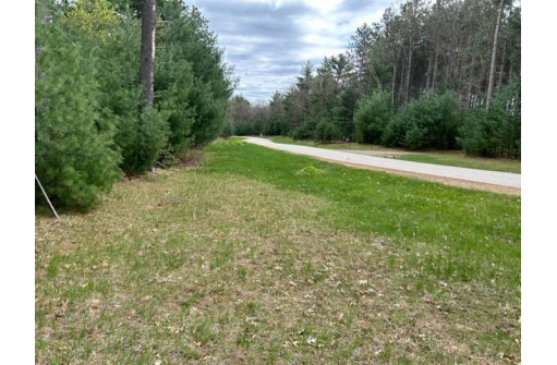 W1558 Buffalo Trail, Lyndon Station, WI 53944