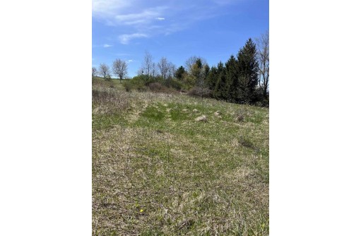 LOT 1 CSM 7674 Timber Lane, Verona, WI 53593