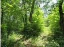 LOT 44 Black Oak Court, Coloma, WI 54930