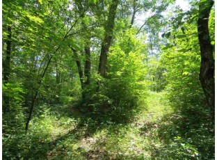 LOT 44 Black Oak Court Coloma, WI 54930