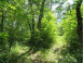 LOT 44 Black Oak Court Coloma, WI 54930