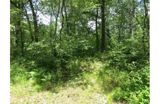 LOT 44 Black Oak Court, Coloma, WI 54930