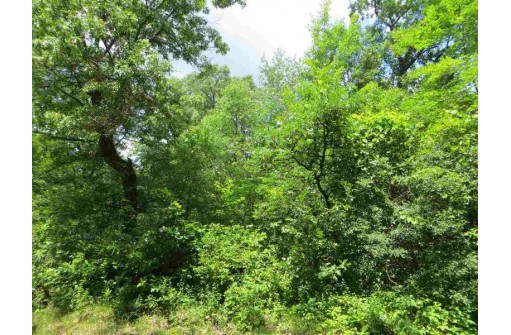 LOT 44 Black Oak Court, Coloma, WI 54930